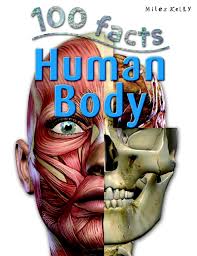 100 Facts: Human Body