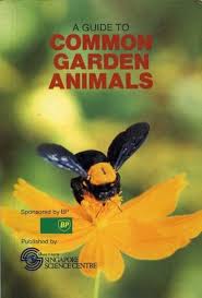 A Guide to Common Garden Animals