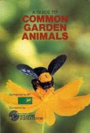 A Guide to Common Garden Animals