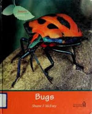 Bugs