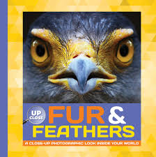 Fur and Feathers