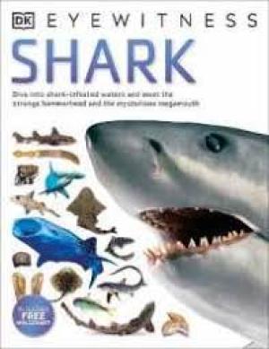 Shark