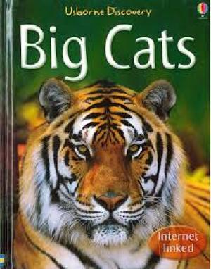 Big Cats