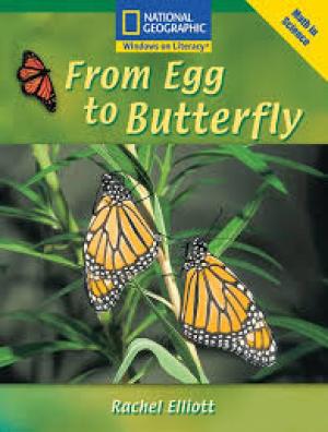 From Egg to Butterfly