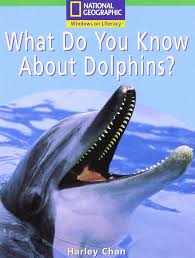 What do you know about dolphins?