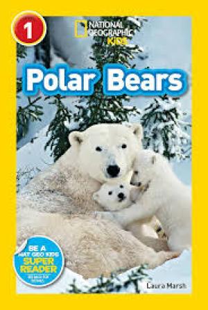 Polar Bears