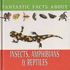 Fantastic Facts About- Insects, Amphibians And Reptiles
