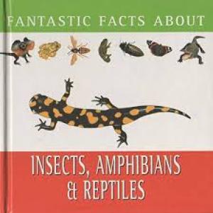 Fantastic Facts About- Insects, Amphibians And Reptiles