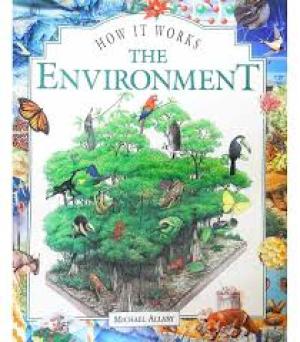 How It Works The Environment