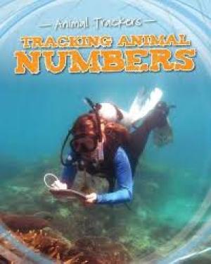 Animal Trackers: Tracking Animal Numbers