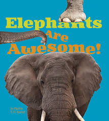 Elephants are awesome!